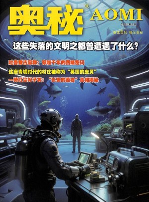 奥秘杂志订阅